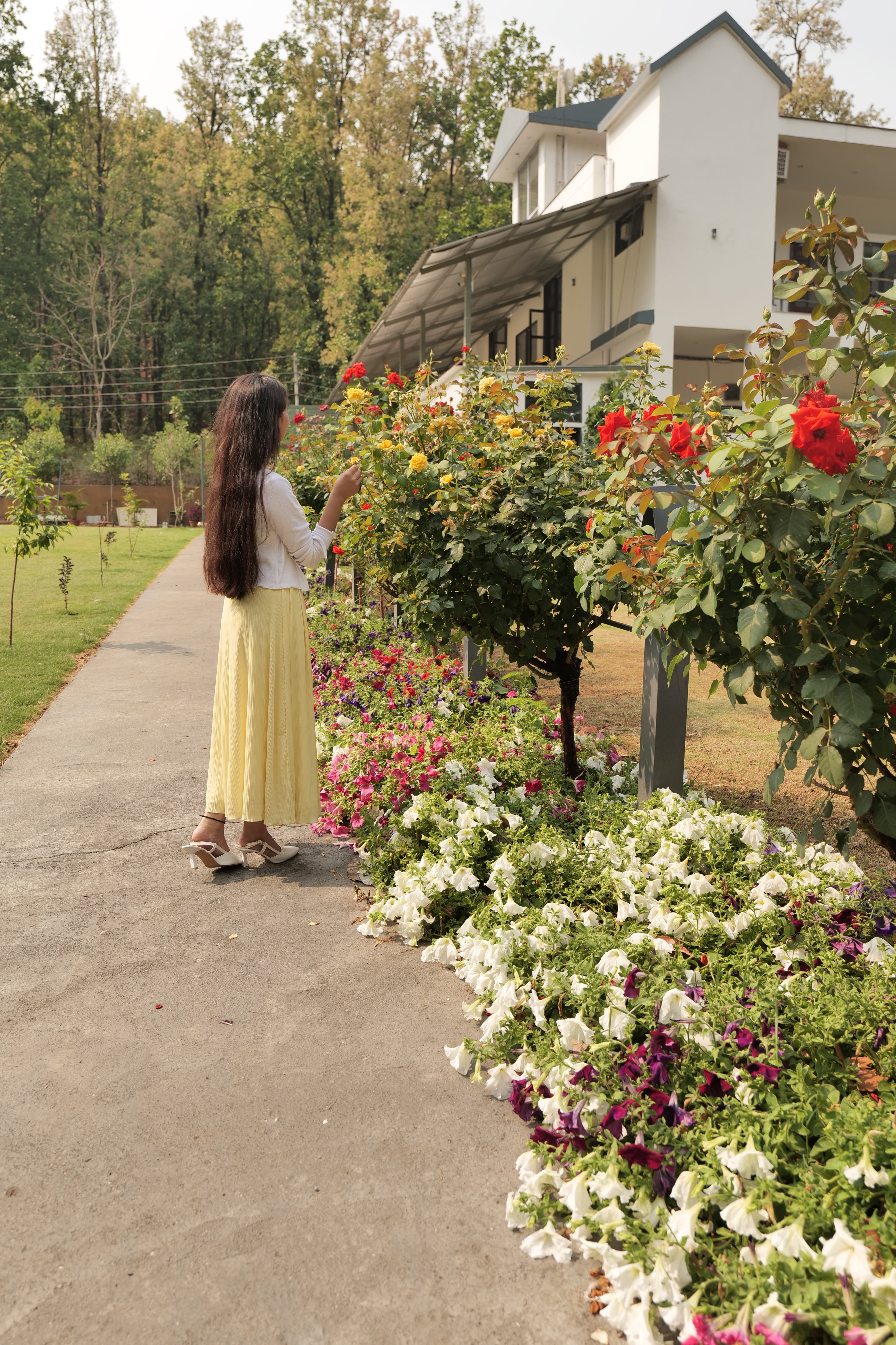 Experience True Forest Ambience